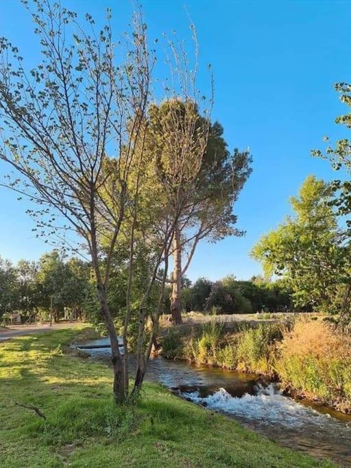 Ferienwohnung קסם של אירוח Hagoshrim Exterior foto